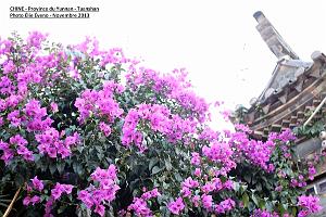 067 - Tuanshan